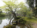 DSC00349.JPG