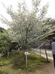 DSC00388.JPG
