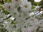 DSC00396.JPG