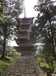 DSC00407.JPG