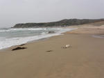 DSC00425.JPG