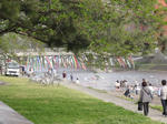 DSC00477.JPG