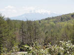 DSC00515.JPG