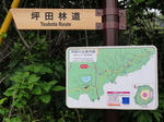 DSC00541.JPG