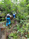 DSC00542.JPG