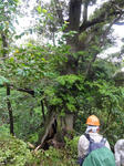 DSC00551.JPG