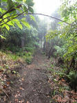 DSC00558.JPG