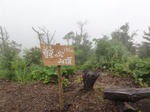 DSC00560.JPG