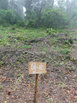 DSC00563.JPG