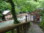 DSC00728.jpg