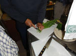 DSC00618.jpg