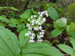 DSC00635.jpg