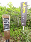 DSC00636.jpg