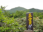 DSC00637.jpg