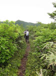 DSC00638.jpg