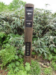 DSC00656.jpg