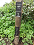 DSC00670.jpg