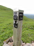 DSC00698.jpg