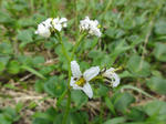 DSC00704.jpg