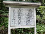 DSC00720.jpg