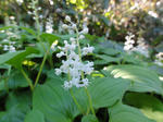 DSC00714.jpg