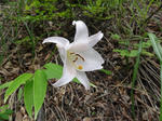 DSC00790.jpg