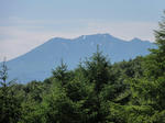 DSC00773.jpg