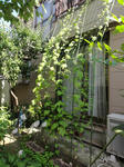 DSC00801.JPG