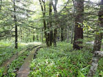 DSC00837.jpg