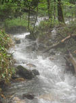 DSC00838.jpg