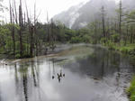 DSC00843.jpg