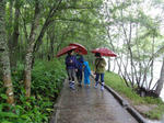 DSC00867.jpg