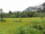 DSC00861.jpg