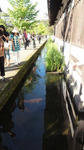 DSC00956.jpg