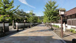 DSC00955.jpg