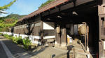 DSC00977.jpg