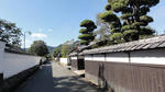 DSC01004.jpg