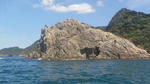 DSC01034.jpg