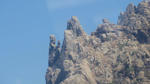 DSC01036.jpg