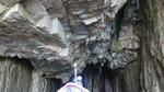 DSC01042.jpg