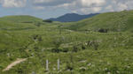 DSC01060.jpg