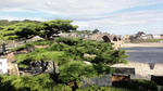 DSC01087.jpg
