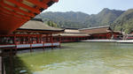 DSC01131.jpg
