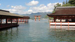 DSC01135.jpg
