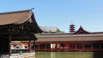 DSC01148.jpg