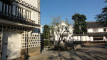 DSC01168.jpg