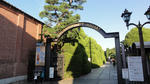 DSC01171.jpg