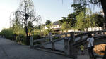 DSC01178.jpg