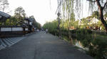 DSC01179.jpg