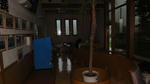 DSC01182.jpg